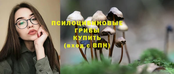 стаф Нефтекумск